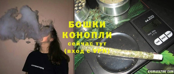 дживик Богородицк