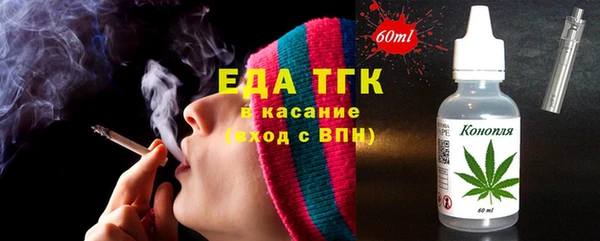 дживик Богородицк