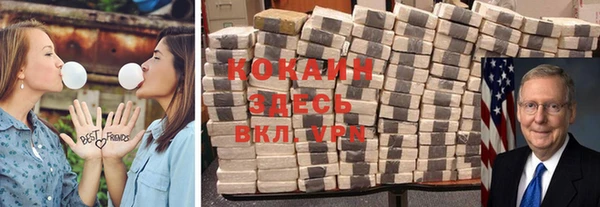 дживик Богородицк