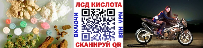 где купить   Шарыпово  ЛСД экстази ecstasy 