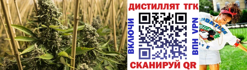 ТГК жижа  хочу   Шарыпово 